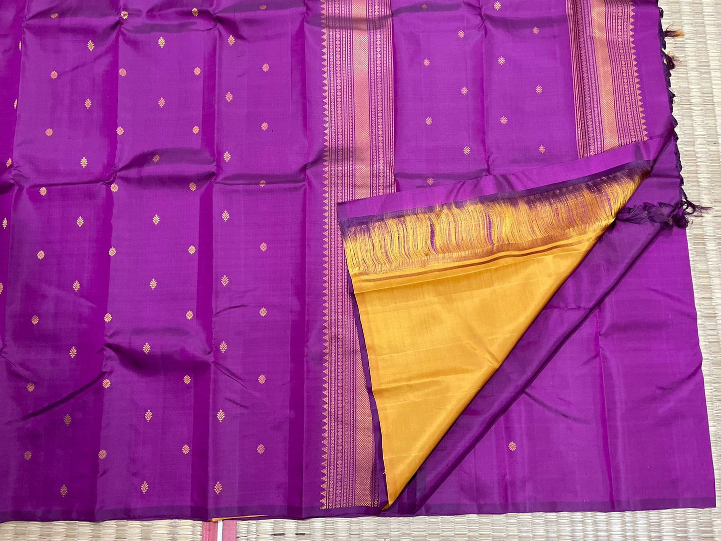 No Zari Kanchipuram Saree